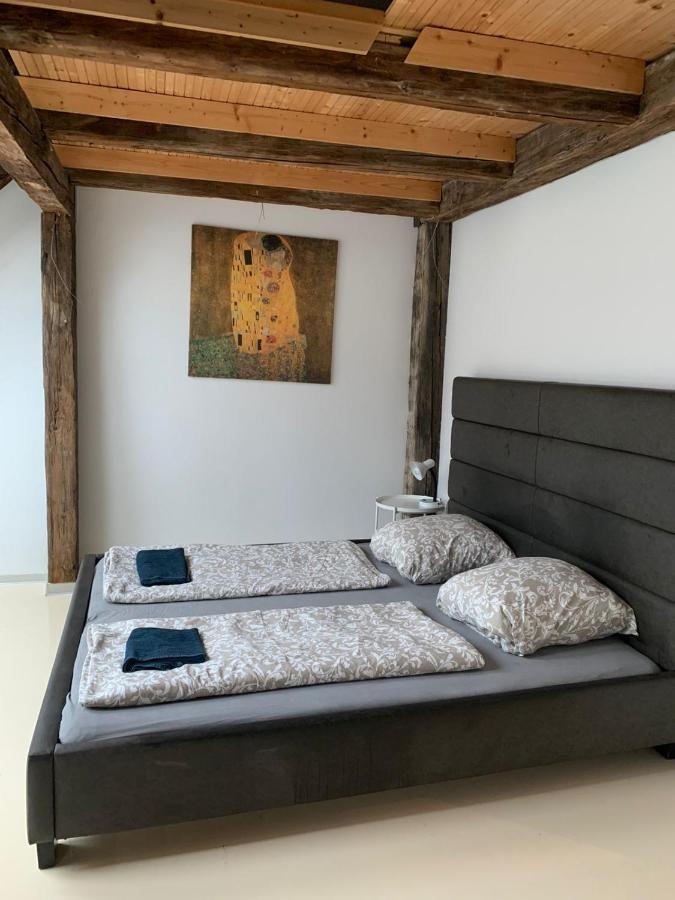 Central Living Apartments - Berggasse Vienna Esterno foto